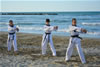 Beach Taekwondo Pesaro